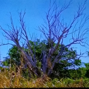 Meet your Posher, Pam